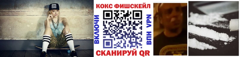 Купить закладки  Далматово  COCAIN VHQ 