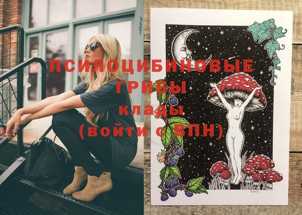 дурь Белоозёрский