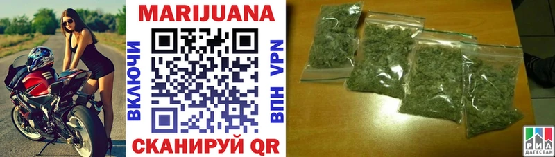 Конопля Bruce Banner  Купить где  Далматово 